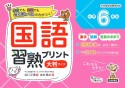 国語習熟プリント　小学6年生　大判サイズ