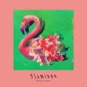 Flamingo／TEENAGE　RIOT（フラミンゴ盤）(DVD付)