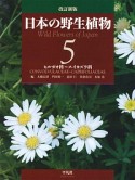 日本の野生植物＜改訂新版＞　ヒルガオ科〜スイカズラ科（＋総索引）（5）
