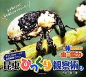 昆虫びっくり観察術　体からみえる虫の能力（2）