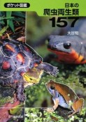 日本の爬虫両生類157