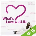 【中古（盤のみ）】What’s　Love？